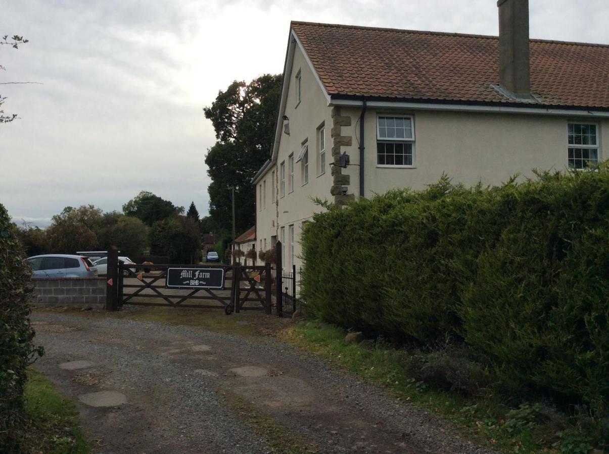 Mill Farm B&B Great Ayton Exterior foto